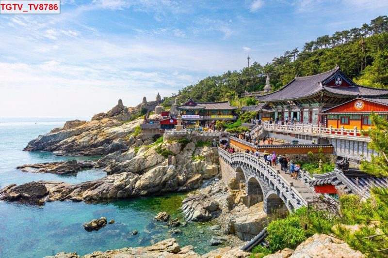 Mẫu tranh phong cảnh Hàn Quốc nhiều chiều sâu dùng cho không gian quán